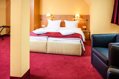 SPA Hotel AMSEE: Room